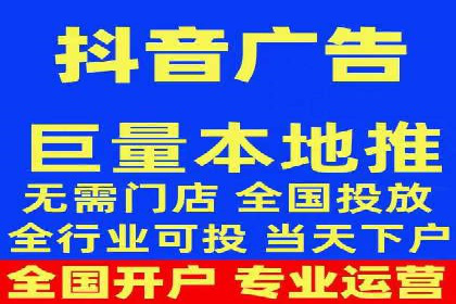 竞价广告的投放时机与频次选择——基于案例的探讨